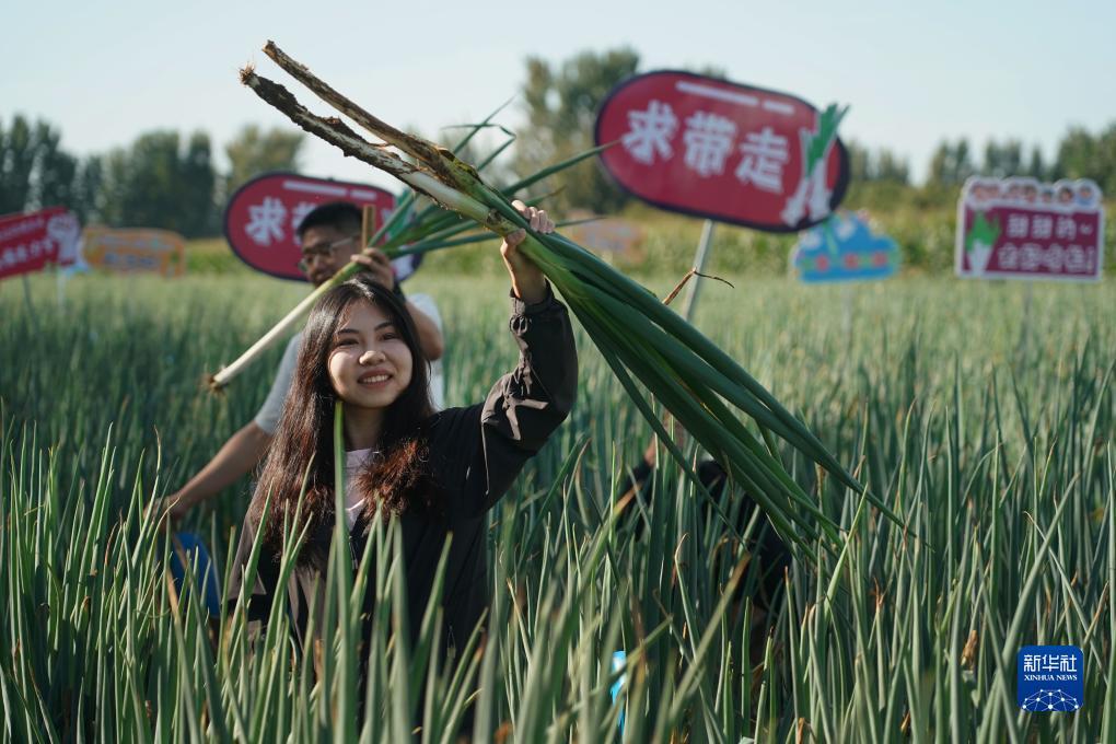 银河下注网站